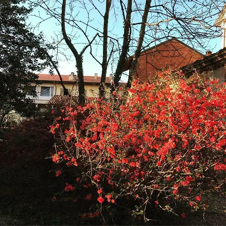 Villa Antonelli *